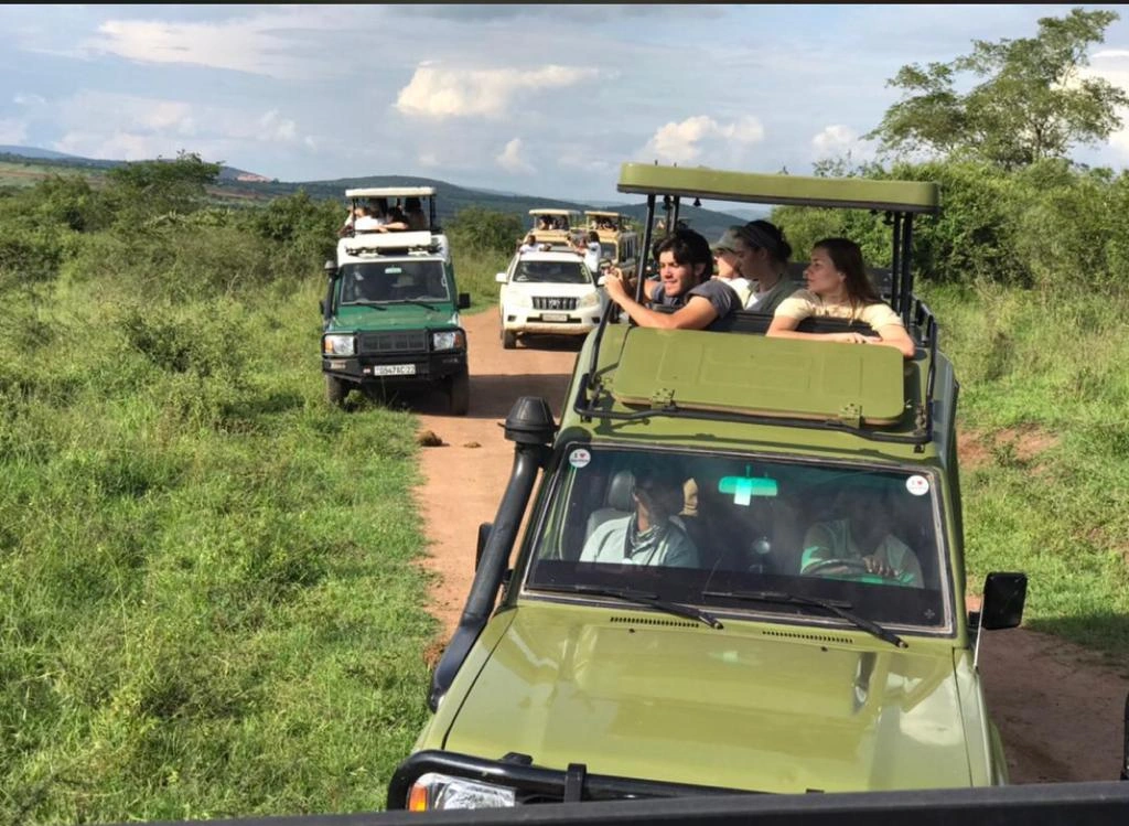 Akagera Wildlife Safari