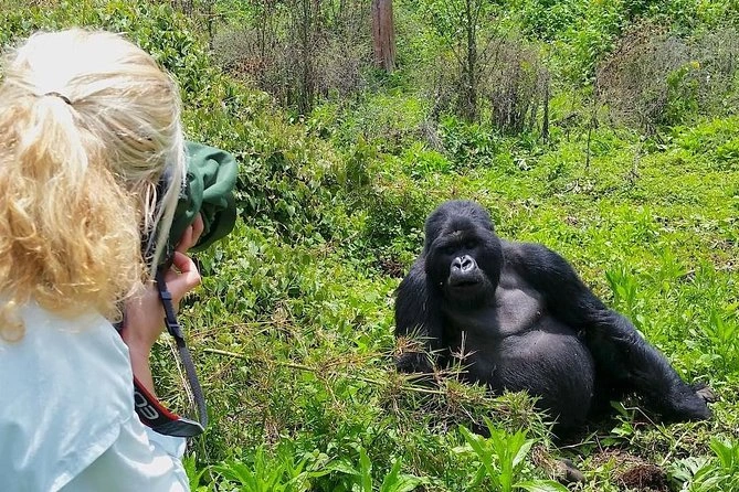 Gorilla Trekking Uganda