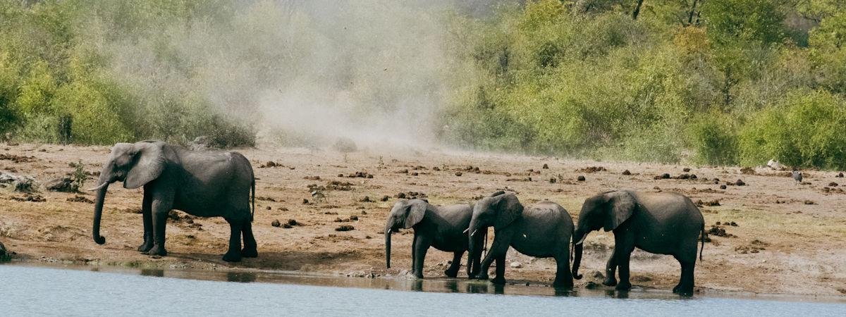 best-african-safari-destinations-in-2026