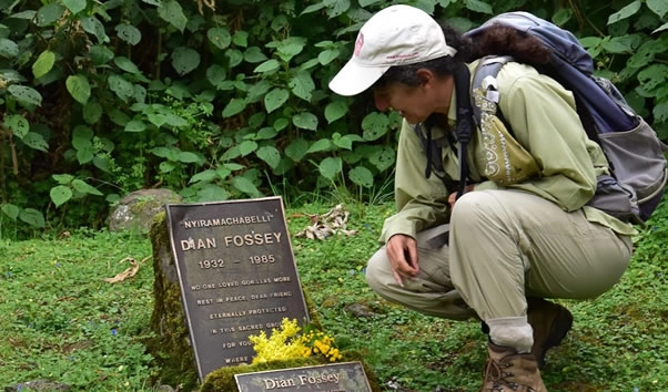 The Dian Fossey Research Trail