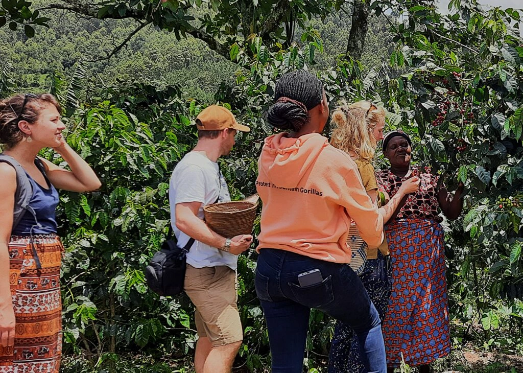 family-friendly-tourist-activities-in-kisoro