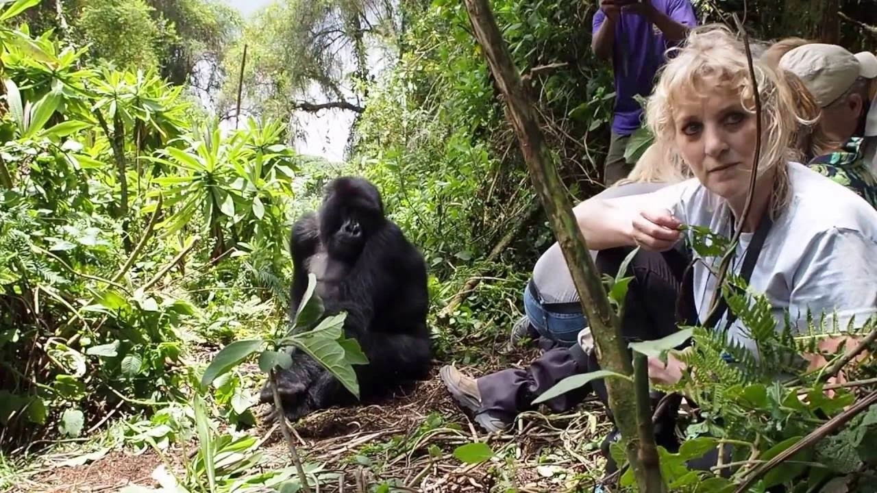 self-drive-safaris-from-kigali-to-bwindi-uganda