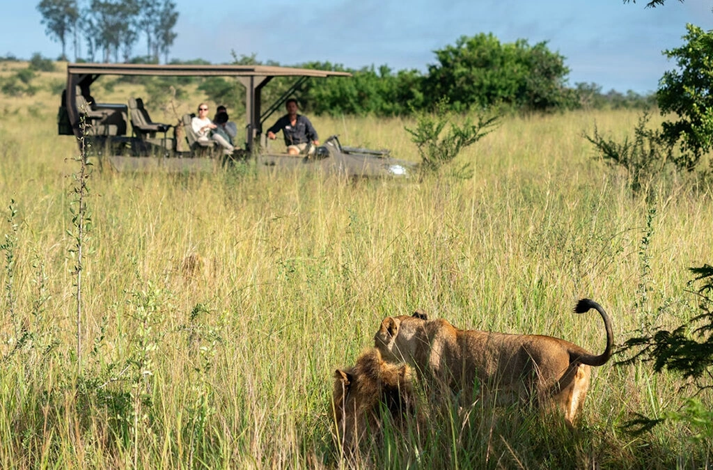 akagera-national-park