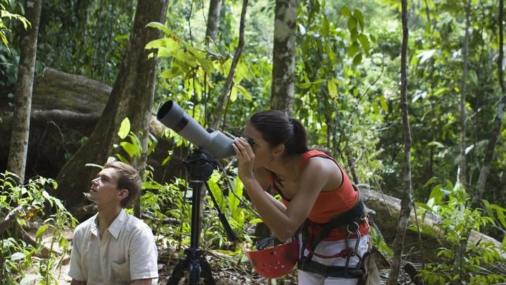 Birdwatching in Nyungwe – A Paradise for Birders