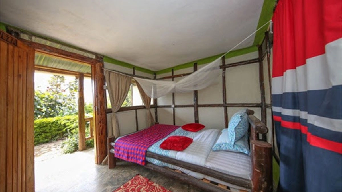 budget-transfers-igali-to-bwindi-backpackers
