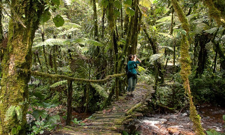 top-safari-destinations-near-bwindi