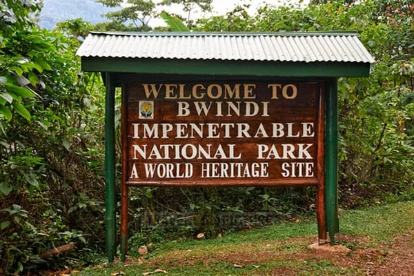 Bwindi-Impenetrable