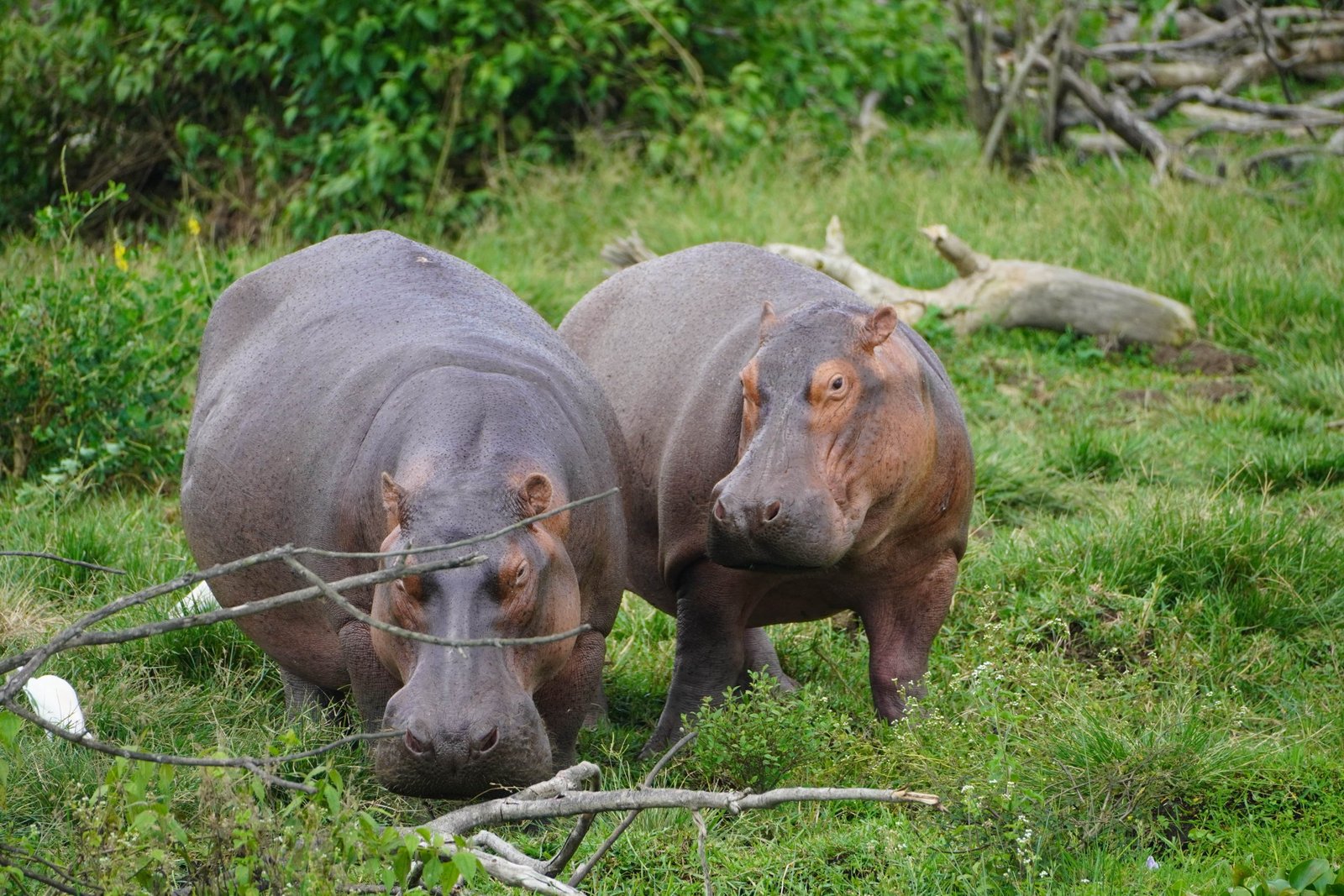 kigali-to-queen-elizabeth-national-park-transfers
