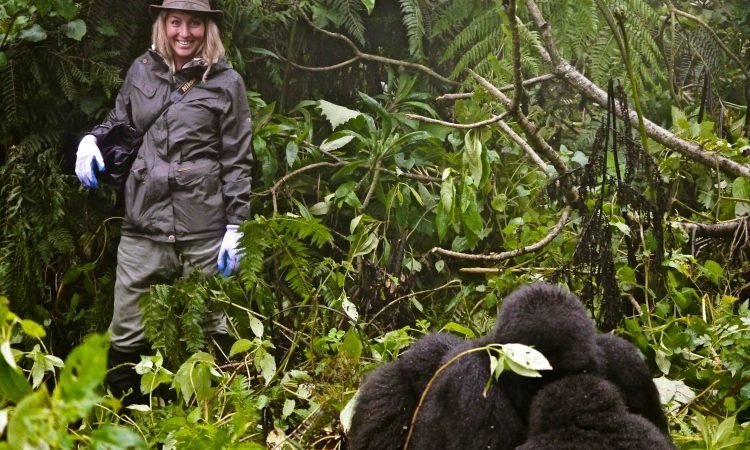 affordable-gorilla-trekking-safaris-starting-in-kigali