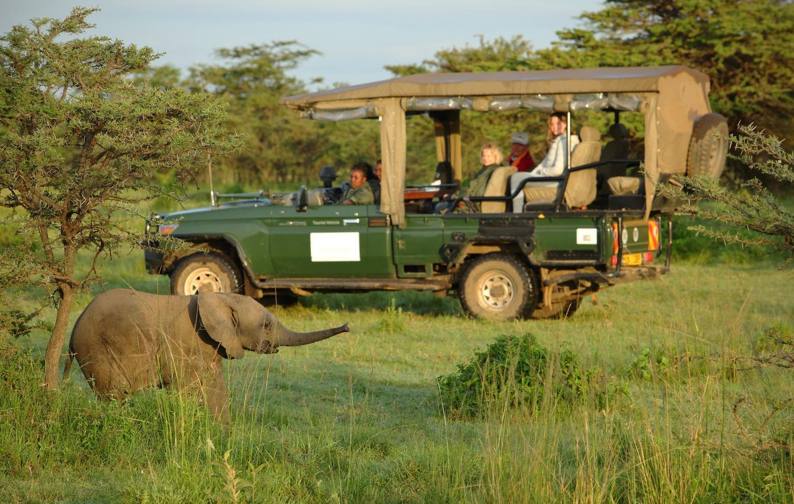 how-to-stay-safe-on-african-safaris