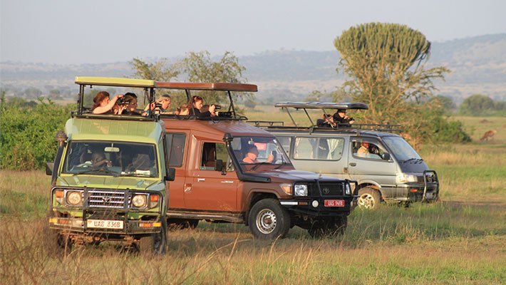 uganda-wildlife-safari-costs-explained