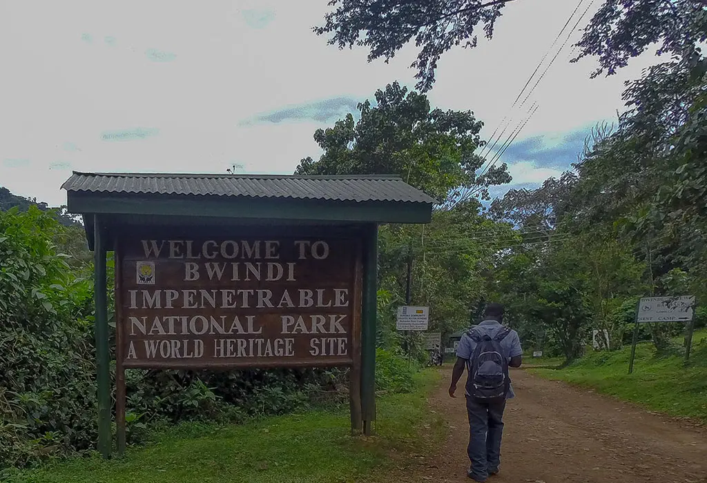 how-far-is-bwindi-from-kigali