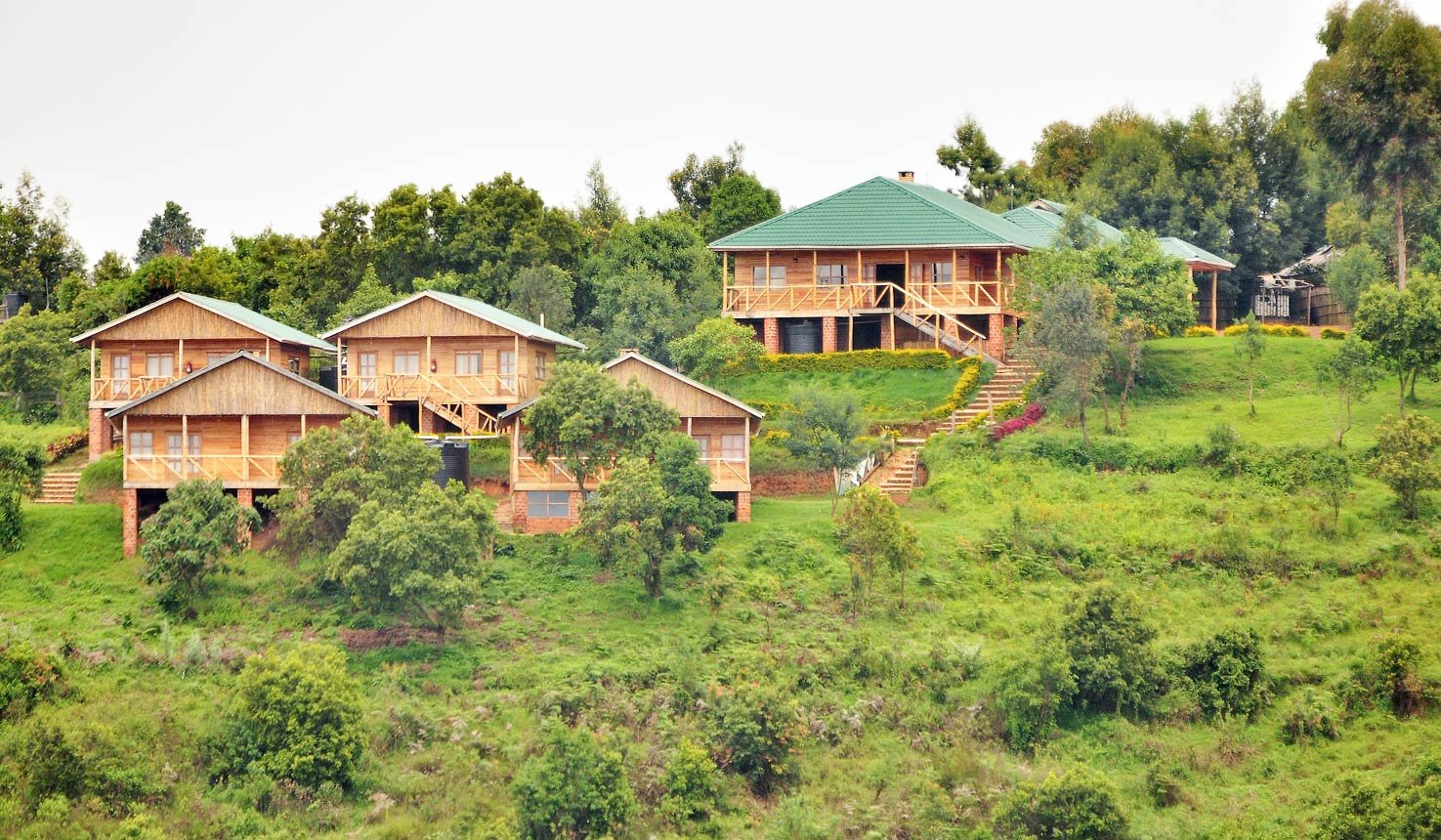 luxury-gorilla-safari-lodges-in-bwindi