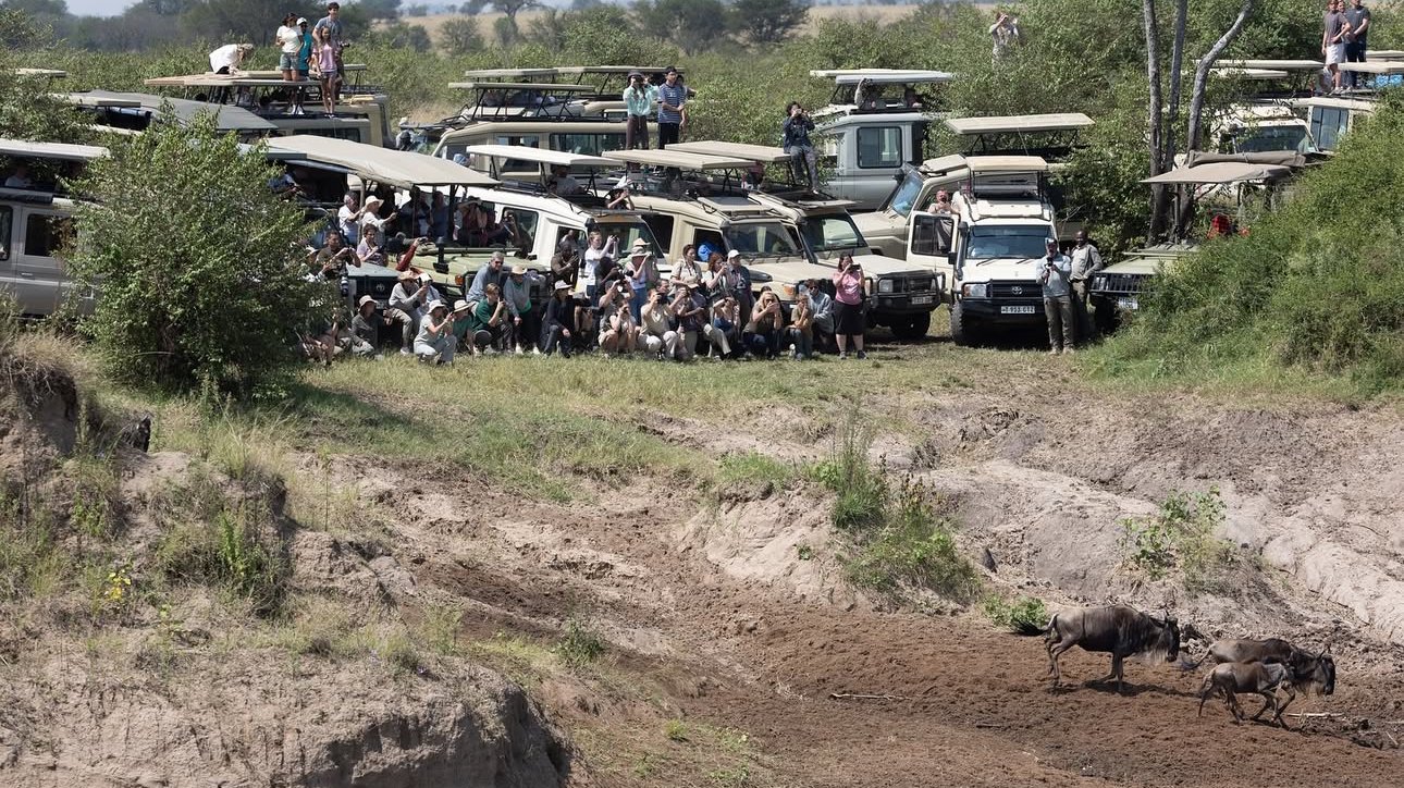 why-cross-border-safaris-are-growing-in-popularity