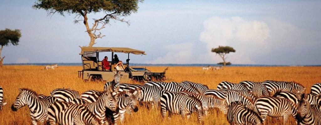 why-east-africa-is-perfect-for-wildlife-adventures