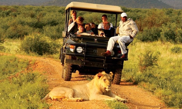 Luxury Uganda Safari Experiences