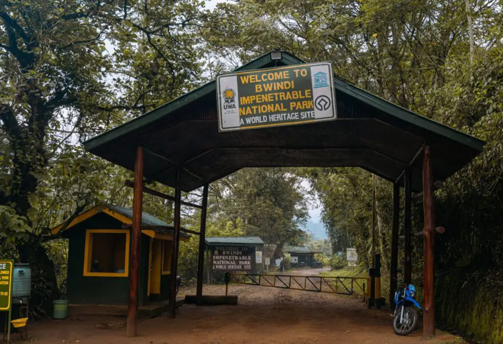 kigali-to-bwindi-travel-tips-first-time-visitors