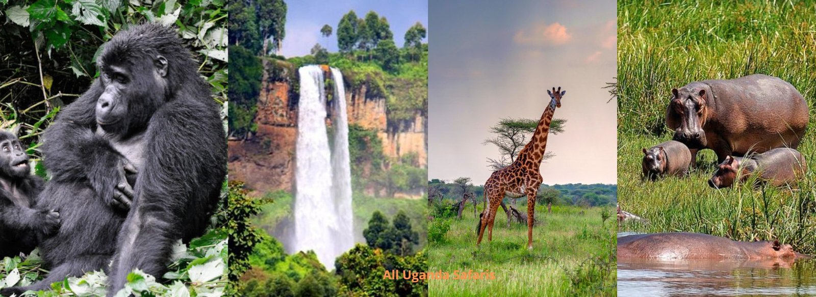 multi-day-safari