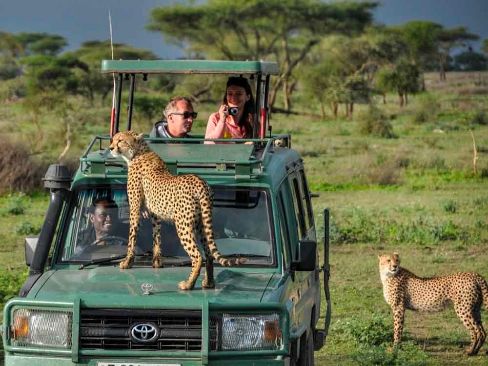 uganda-safari-road-trip-guide