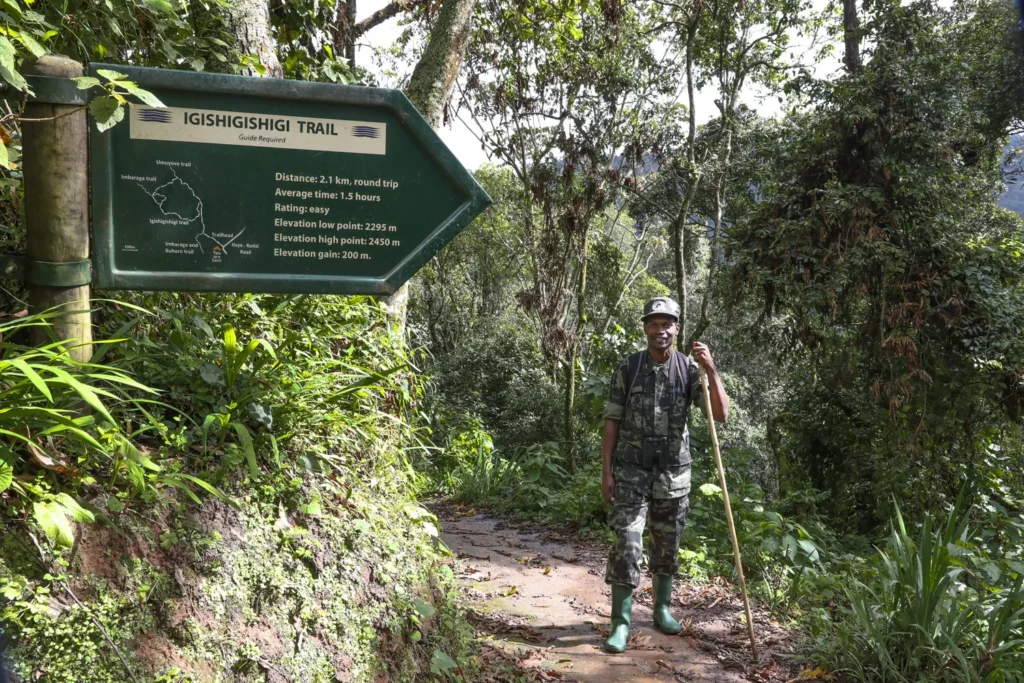 Hiking Trails in Nyungwe Forest National Park