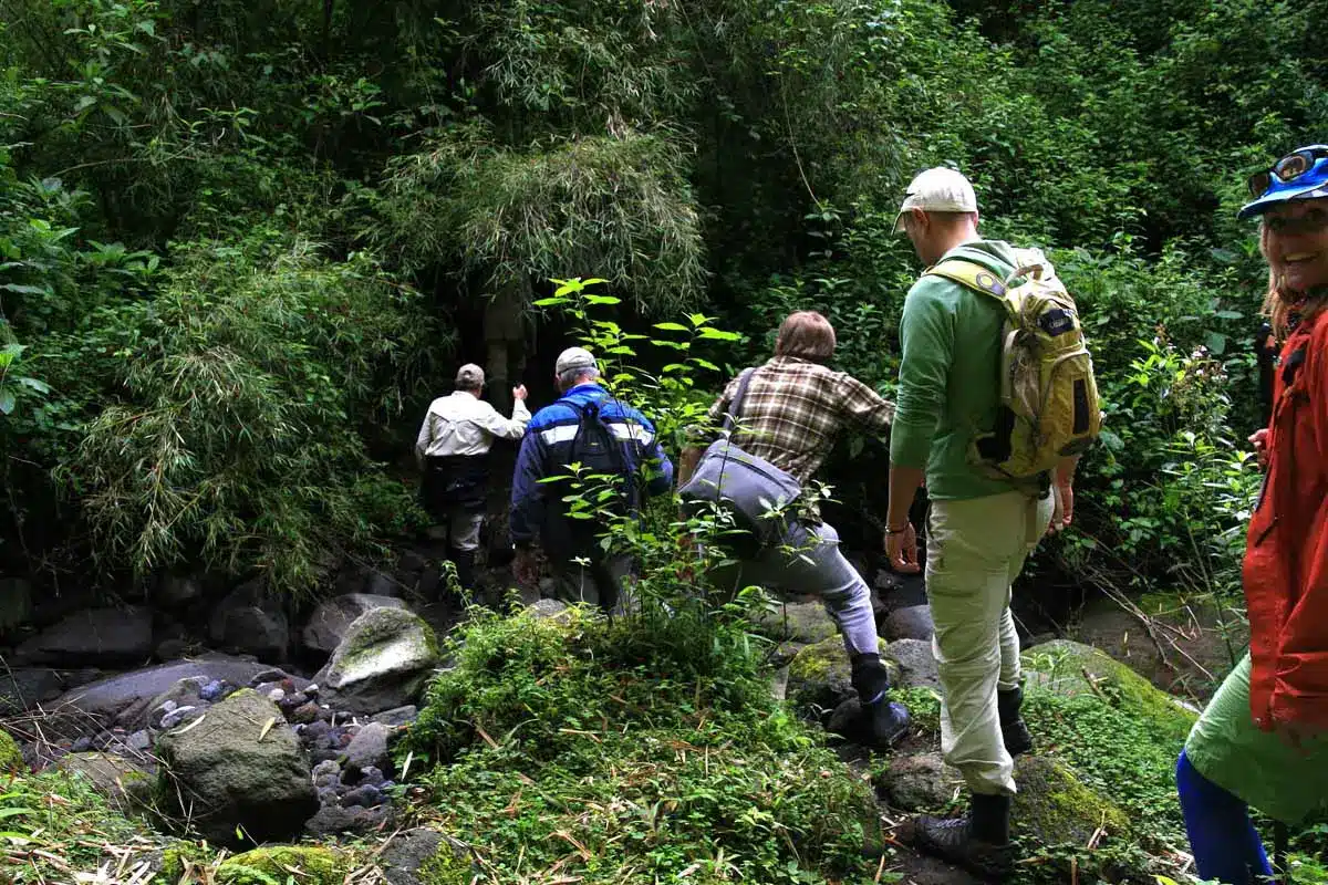 what-to-wear-for-gorilla-trekking-in-uganda