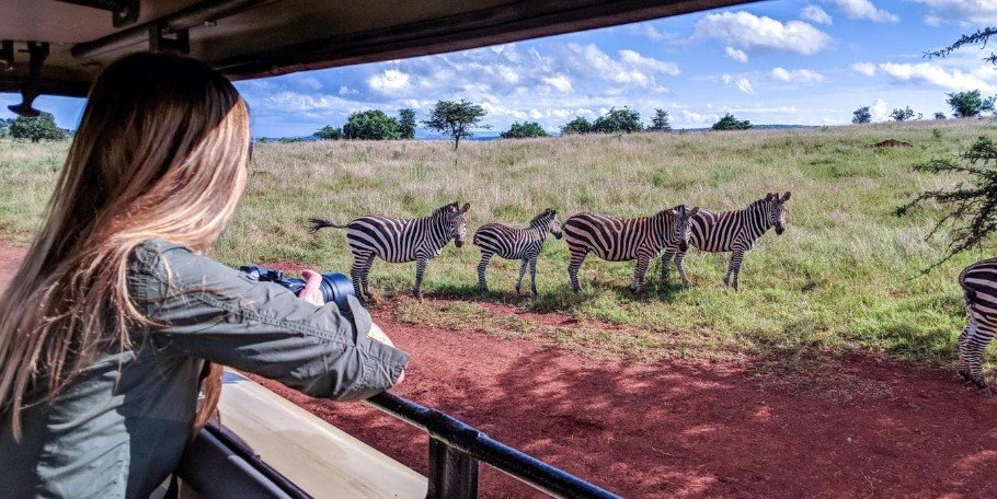 best-time-to-visit-akagera-national-park