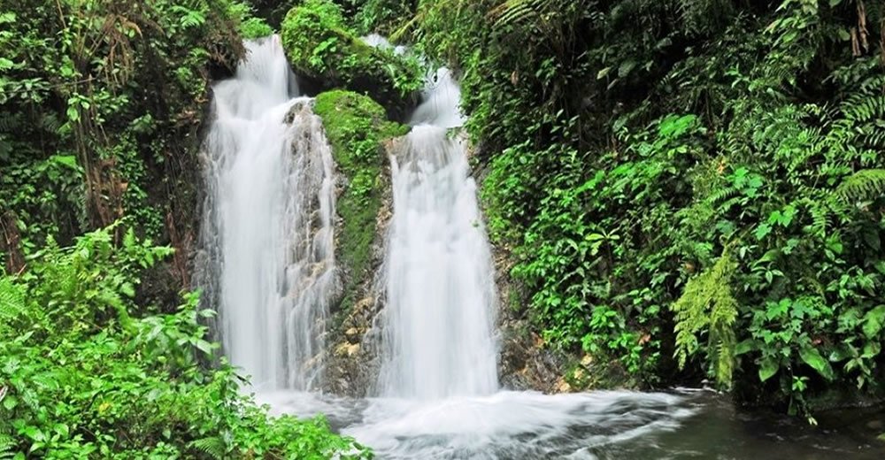 top-reasons-to-visit-bwindi-national-park