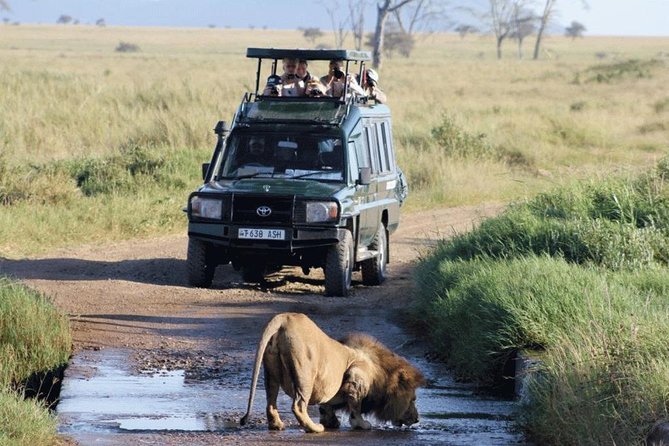 why-travelers-combine-rwanda-uganda-safaris