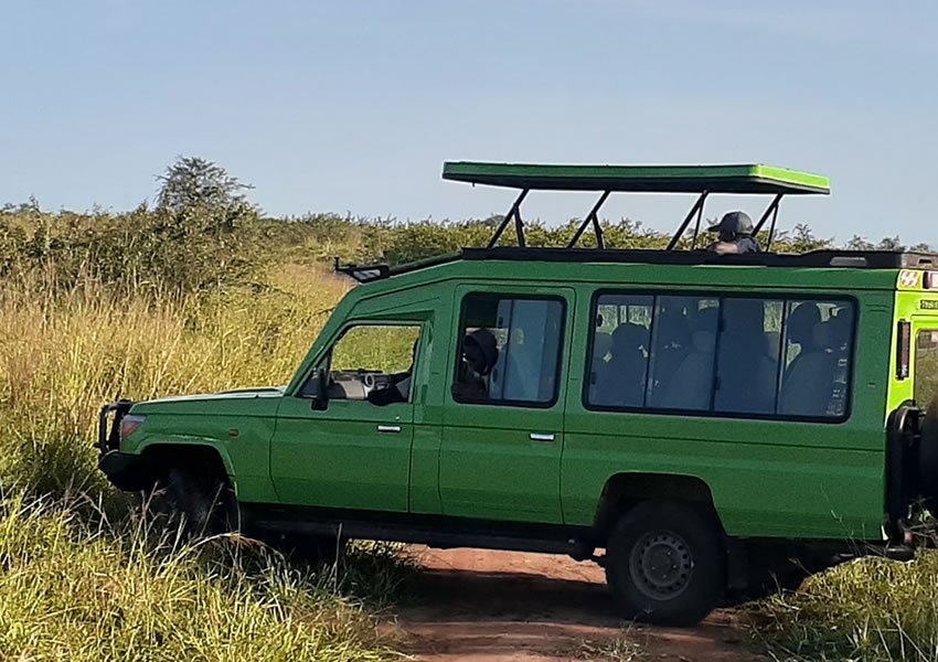 kigali-to-bwindi-transfers-for-solo-travelers