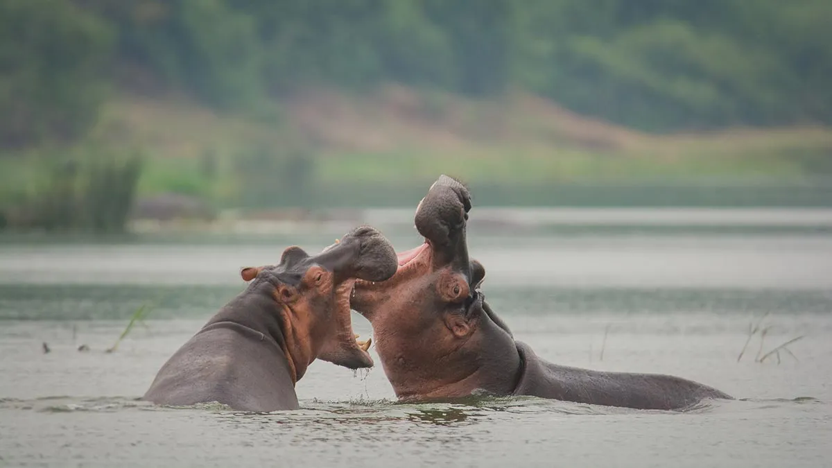 uganda-safaris-destinations