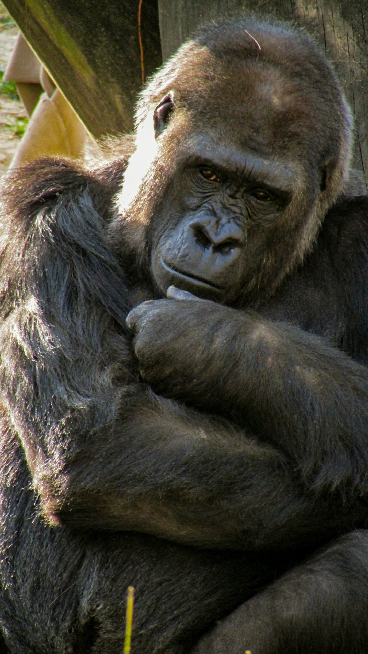 kigali-transfers-to-bwindi