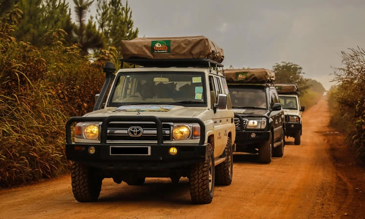best-car-hire-services-in-kigali-for-safari-travelers