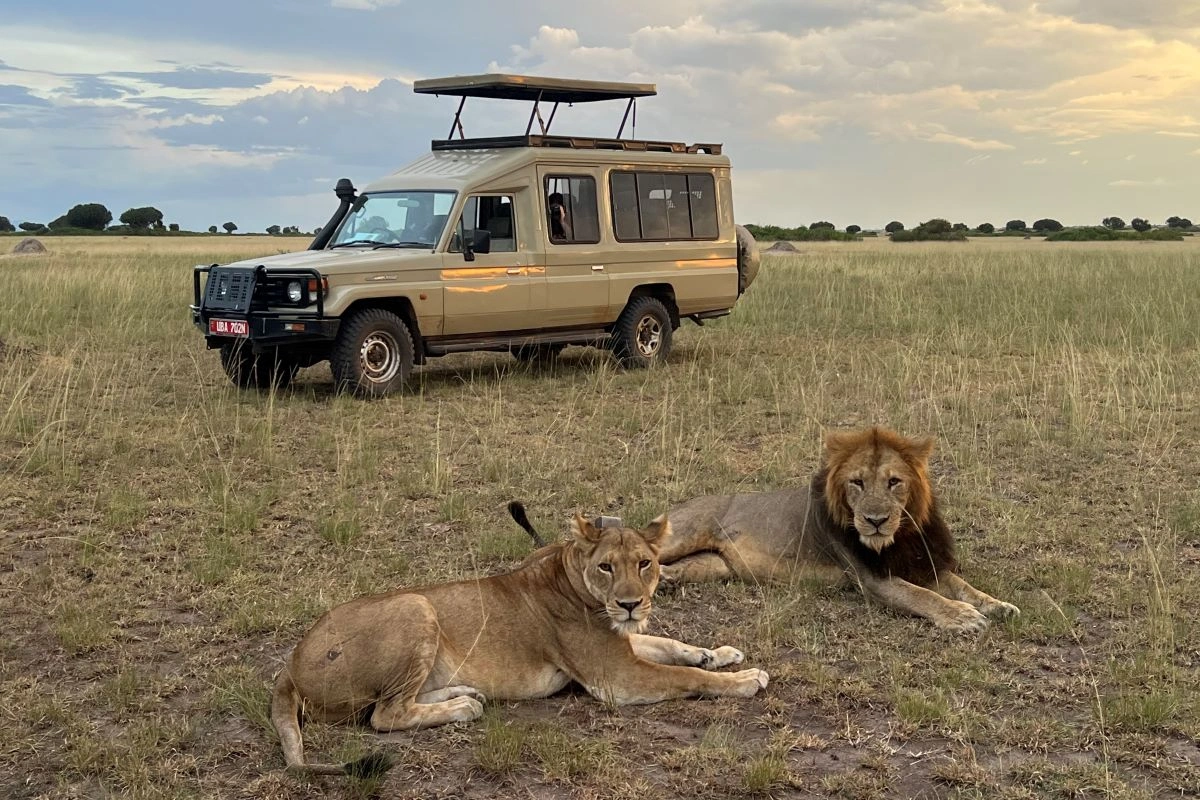 safaris-offer-great-money