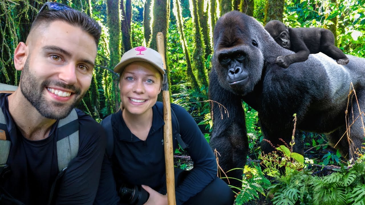 is-gorilla-trekking-worth-it