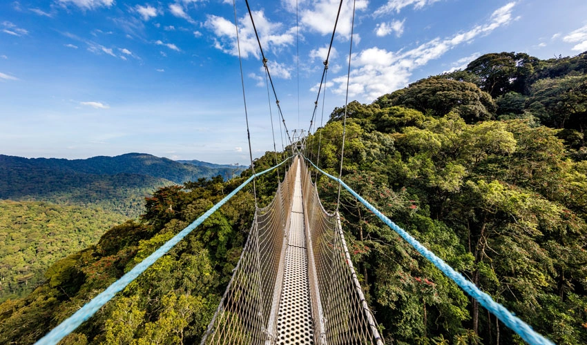 nyungwe-forest-national-park