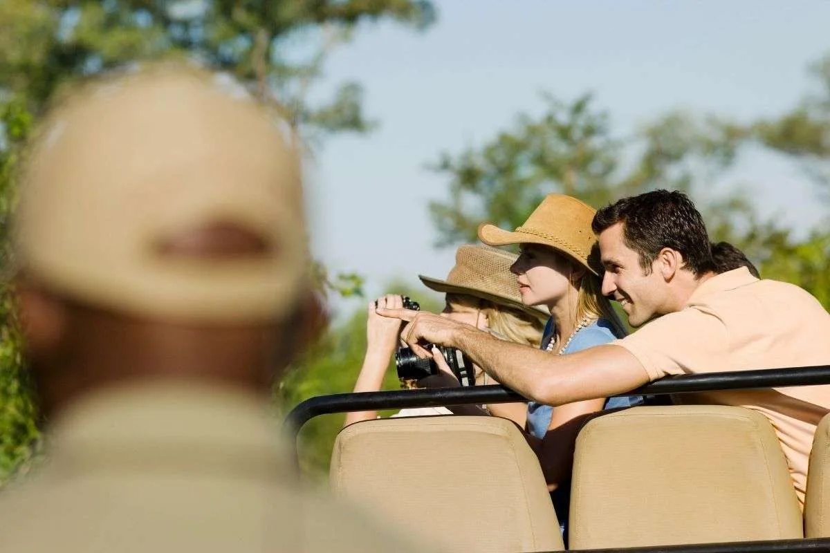 why-book-safaris-through-local-tour-operators