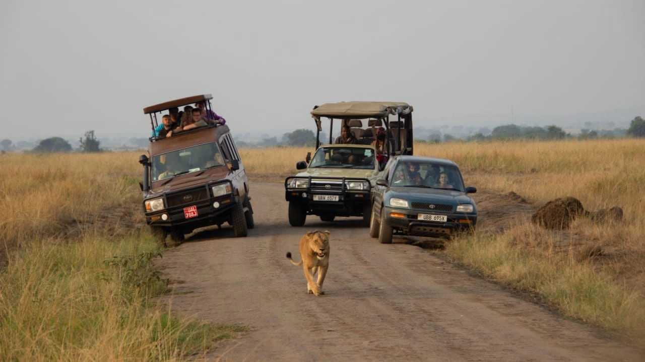 Queen Elizabeth Safari