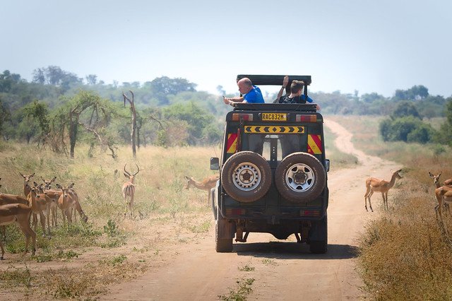 best-short-safaris