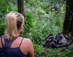 solo-travel-tips-for-gorilla-trekking-tours