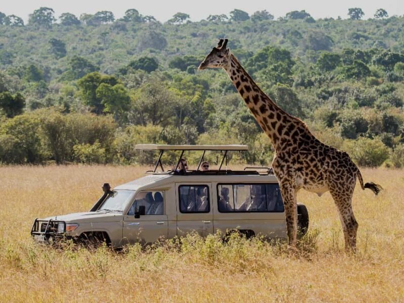 Adventure Safaris Uganda Rwanda