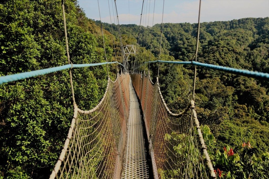 Kigali to Nyungwe Travel Guide