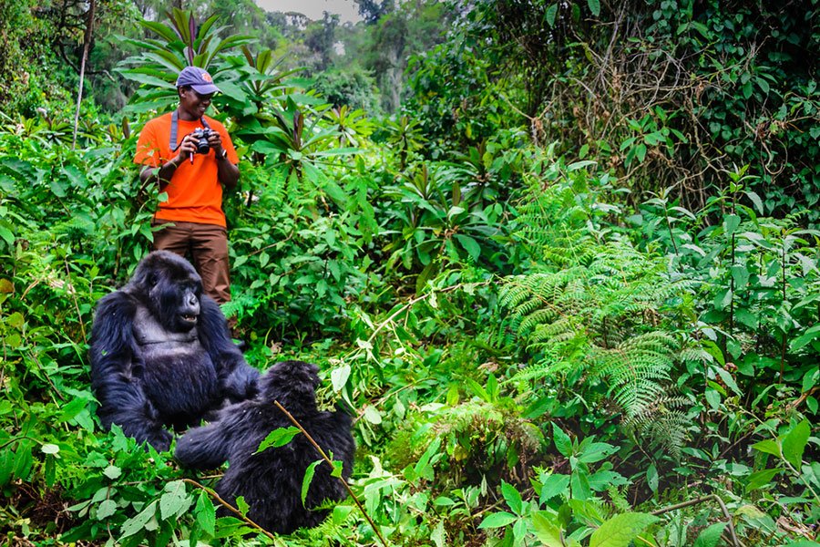 Relax After Gorilla Trekking Rwanda