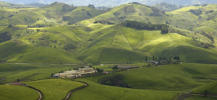 Rwanda Landscape Photography Guide